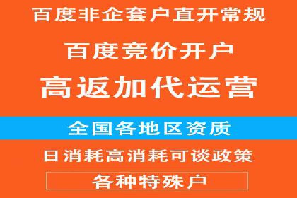 揭秘：成功SEM推广代运营公司案例解析